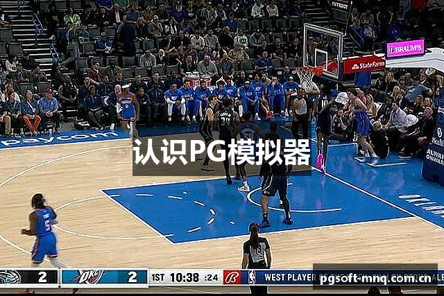 认识PG模拟器